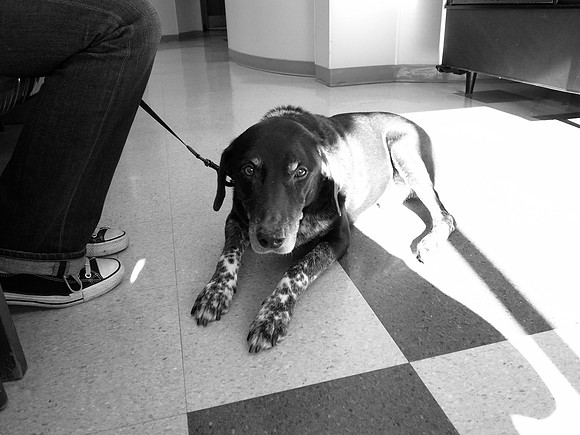 2012-01-10 - Ricoh Test Shots 113