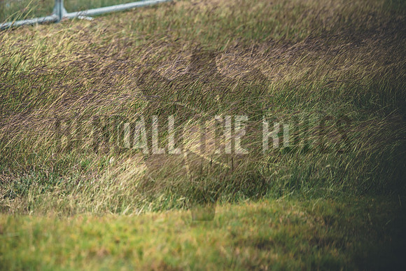 20251130_13-31-00_@bendalltherulesmedia_@bendalltherules_COTA_HighRes_Graded_XH2S2217_00076