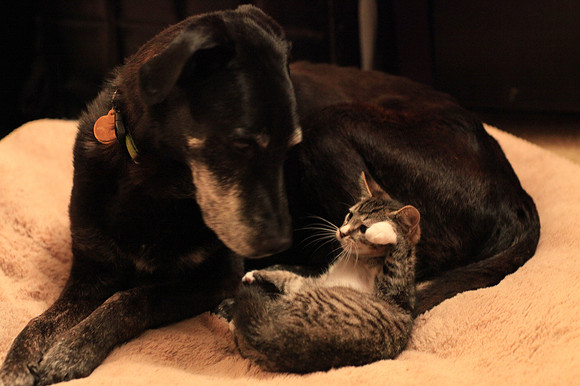 2011-06-10-riley-and-charlie-3
