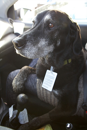 2012-03-11 - January Archived Images 149