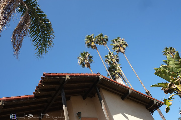 2014-02-16 - Choice images - Out and About in SB with Choupu and Kitten 18