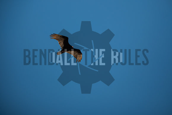 20260502-140512-BendallTheRulesMedia for Precision Track Days - SB (2)
