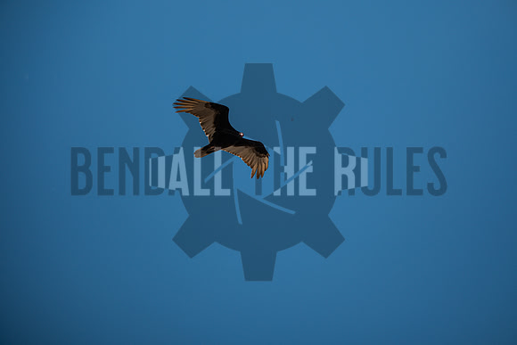20260502-140512-BendallTheRulesMedia for Precision Track Days - SB