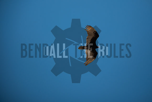 20260502-140515-BendallTheRulesMedia for Precision Track Days - SB