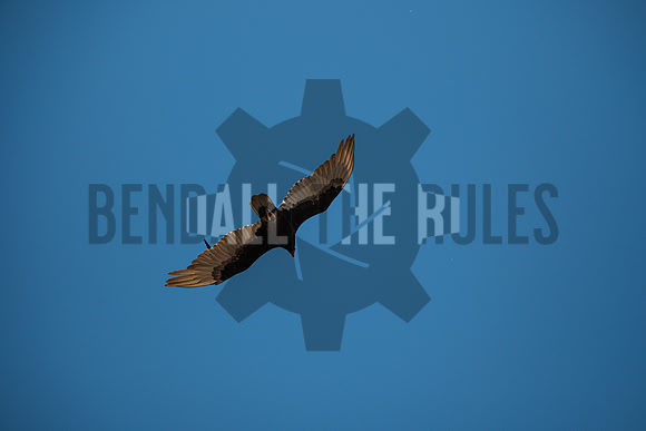 20260502-140540-BendallTheRulesMedia for Precision Track Days - SB