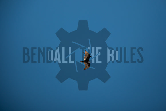20260502-140622-BendallTheRulesMedia for Precision Track Days - SB (1)