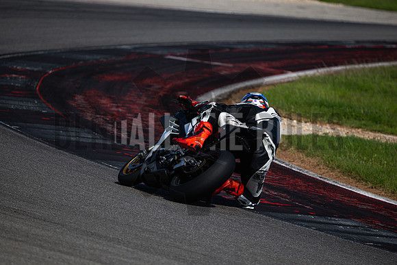 20260503-163732-880-BendallTheRulesMedia for Vita Veloce V - JF