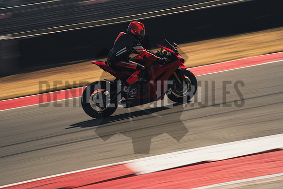 @bendalltheRules_DoubleR Fest at COTA_Wild Grade00207