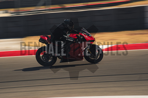 @bendalltheRules_DoubleR Fest at COTA_Wild Grade00227