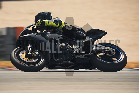 @bendalltheRules_DoubleR Fest at COTA_Wild Grade00251