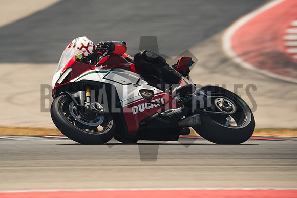 @bendalltheRules_DoubleR Fest at COTA_Wild Grade00255