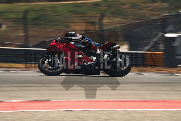 @bendalltheRules_DoubleR Fest at COTA_Wild Grade00294