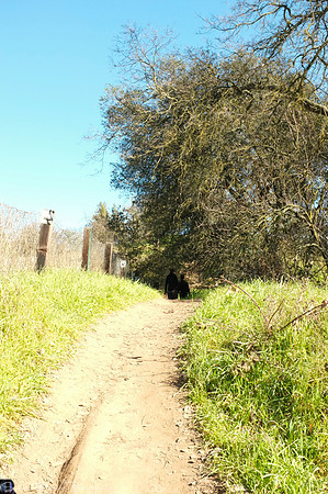 2013-01-21 - Up in Sac with Steph and Jerome  163