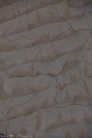 2014-03-01 at 04-18-54 - Taste of Dakar46