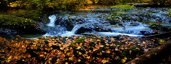 OregonSilvertonZK8V3630 - Version 2