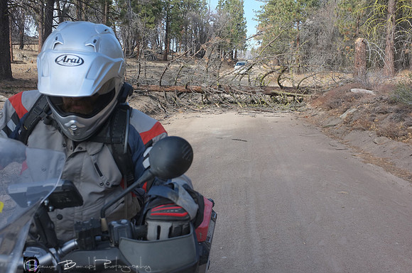 2014-01-28 -14-50-27 - RawHyde Adventures Training and BCA 1403