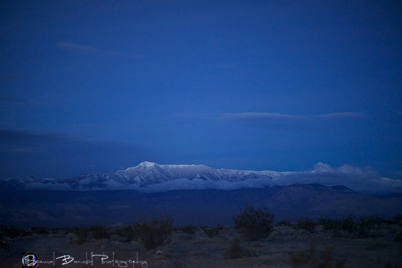 2014-03-01 at 05-58-58 - Taste of Dakar112