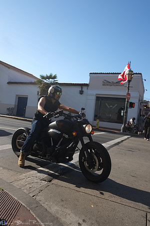 2014-02-16 - Choice images - Out and About in SB with Choupu and Kitten 50