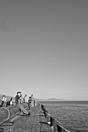 2014-02-16 - Choice images - Out and About in SB with Choupu and Kitten 61 - Version 2