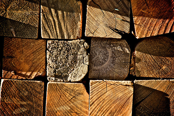 Wood