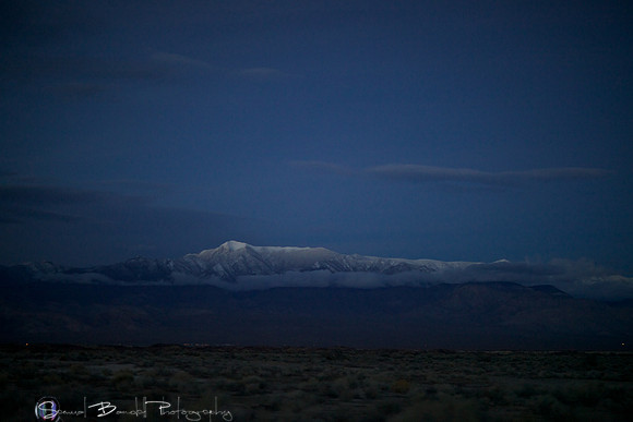 2014-03-01 at 06-01-03 - Taste of Dakar118