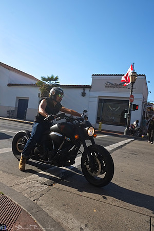 2014-02-16 - Choice images - Out and About in SB with Choupu and Kitten 50 - Version 2
